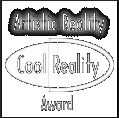 Artistic Reality's Cool Reality Award